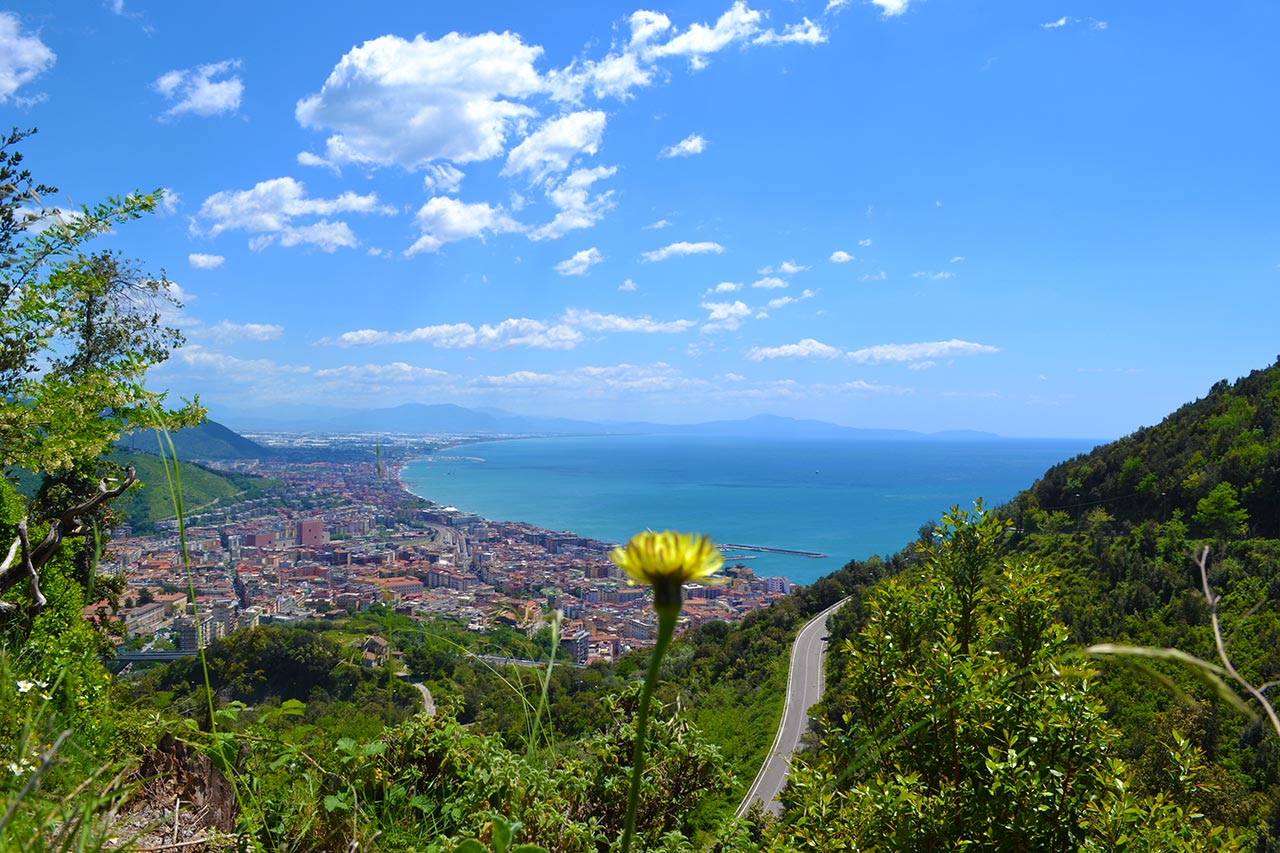 Eccellenze enogastronomiche campania