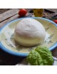 Mozzarella di Bufala Dop Biologica Senza Lattosio