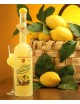 Limoncello - Elisir di limone