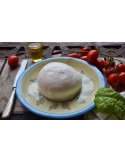 Mozzarella di Bufala campana D.O.P.