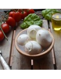 Bocconcini di bufala campana D.O.P.