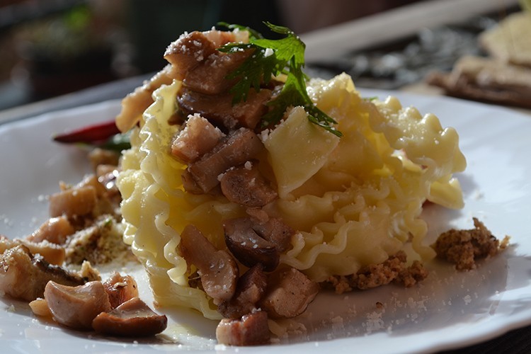 Mafaldine with Porcini mushrooms, cream of walnuts and pancetta